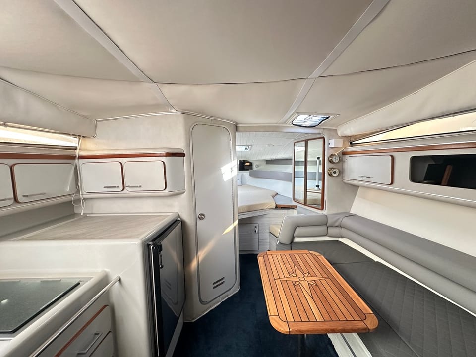 Sea Ray 310 Sundancer - Foto 32