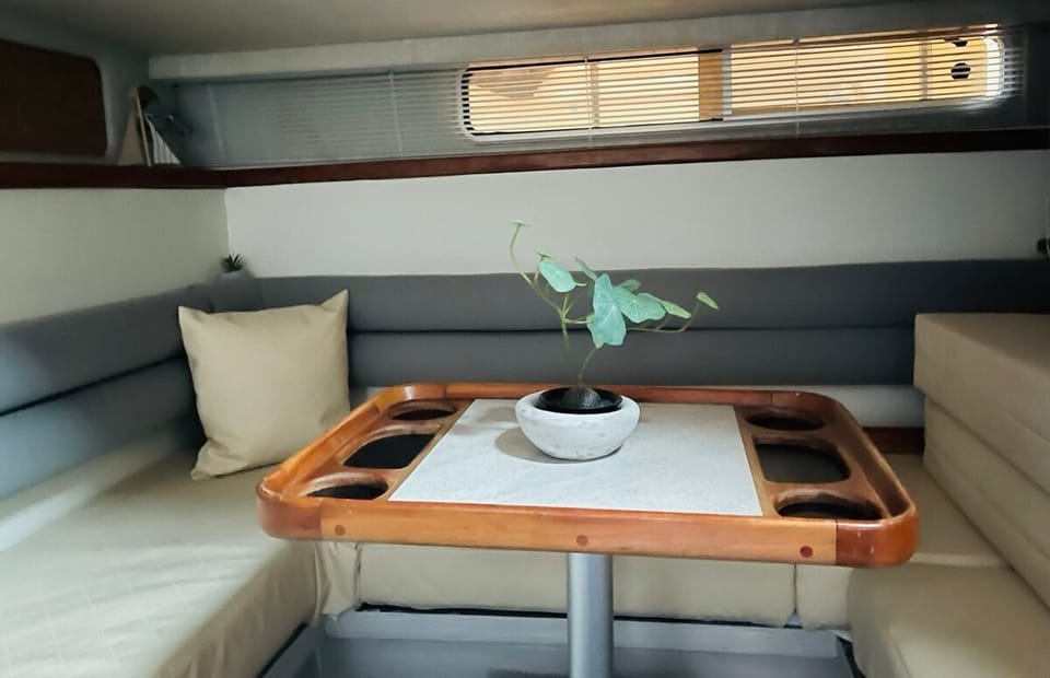 Sea Ray 310 Sundancer - Foto 38