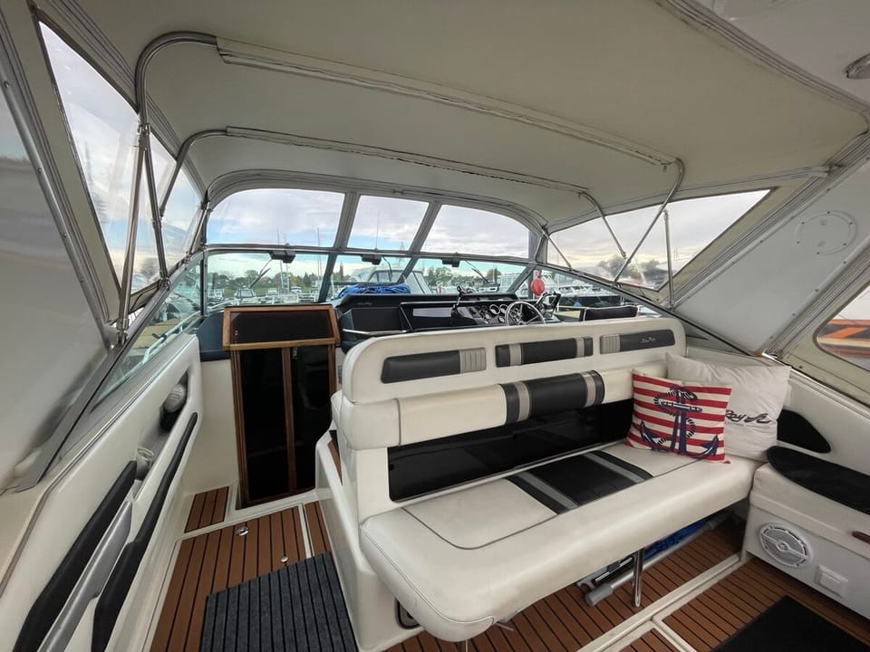 Sea Ray 310 Sundancer - Foto 8
