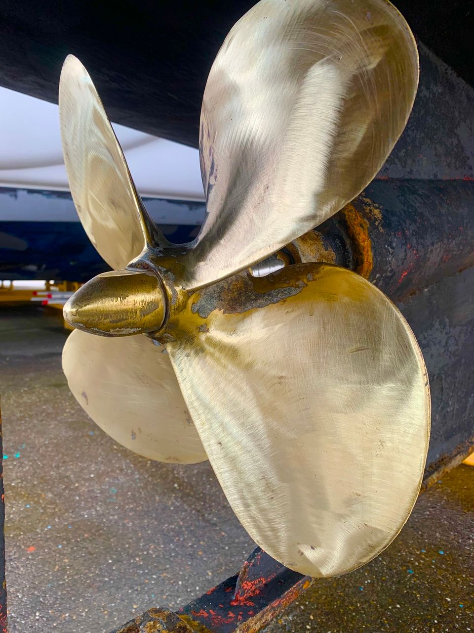 Pedro Skiron 35 - Foto 33