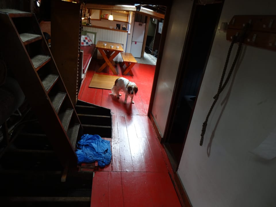 Hagenaar 25.15 - Foto 64