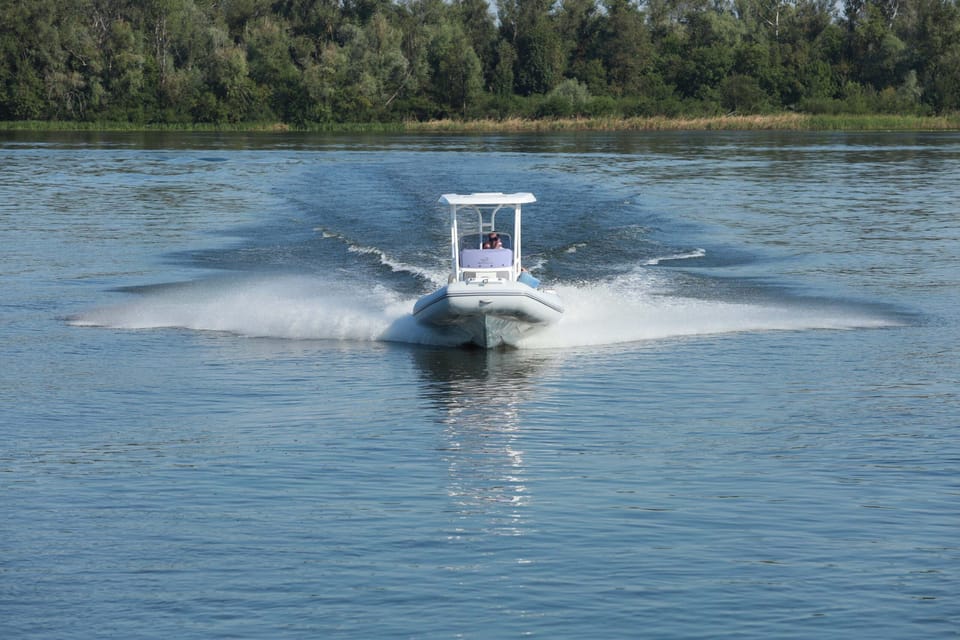 Gala Viking - Foto 16