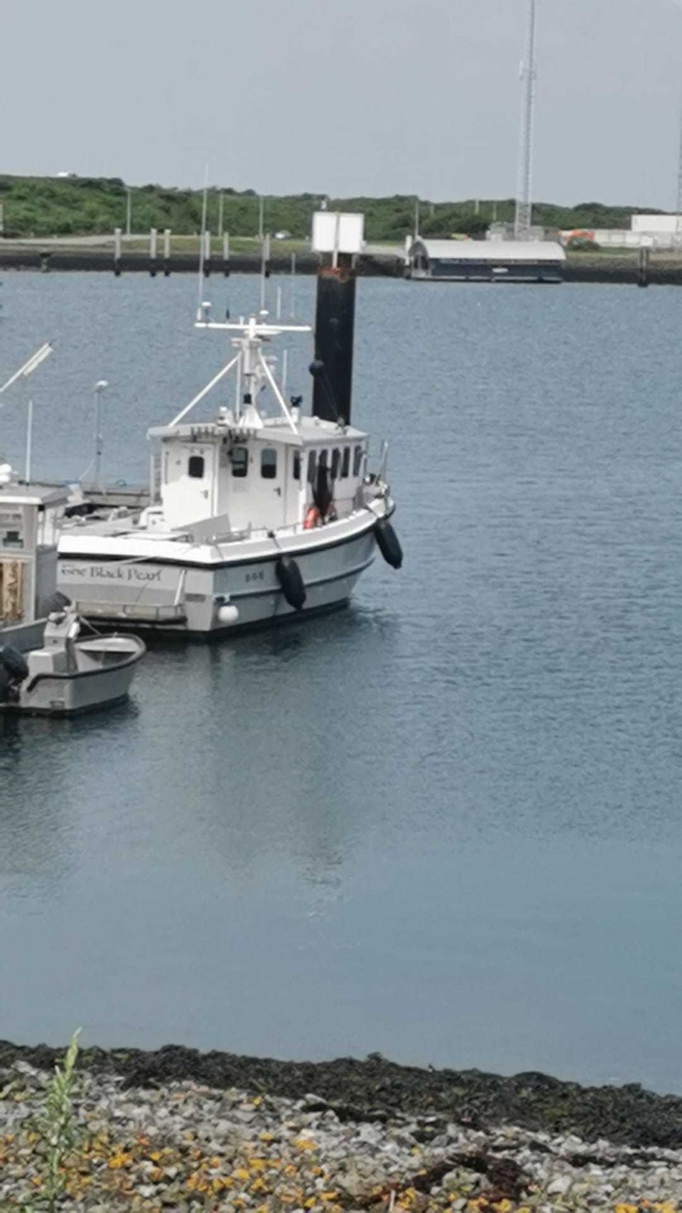 Vissersboot Sygnus Catfish - Foto 6