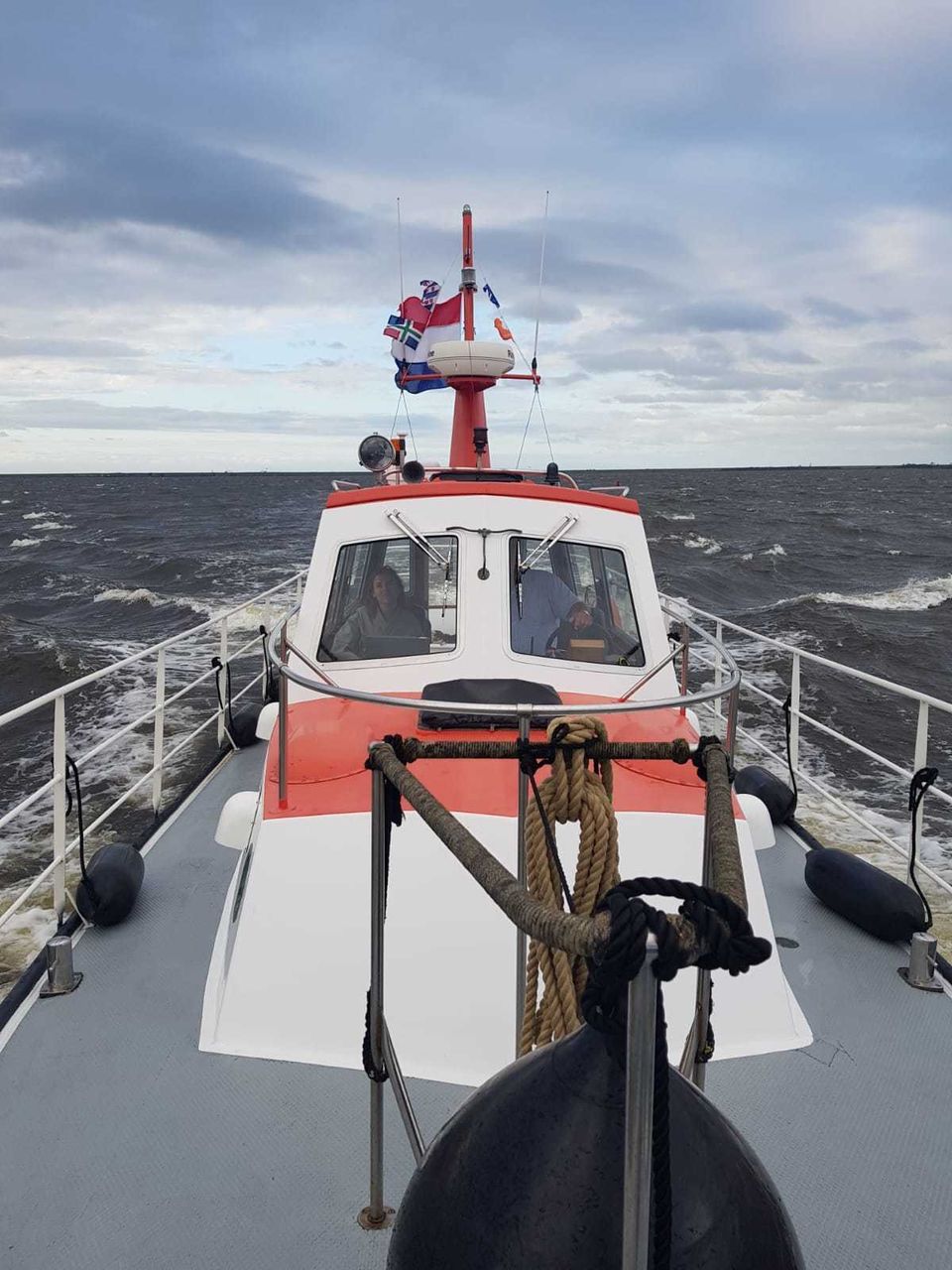 Nelson  Halmatic Pilot 40 FT - Foto 40